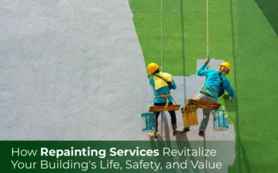 How Repainting Services Revitalize Your Building’s Life, Safety, and Value